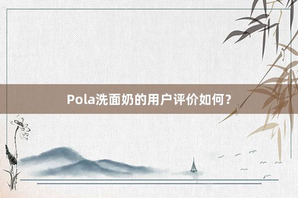 Pola洗面奶的用户评价如何？